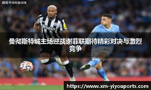 YY体育