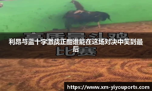 易游体育